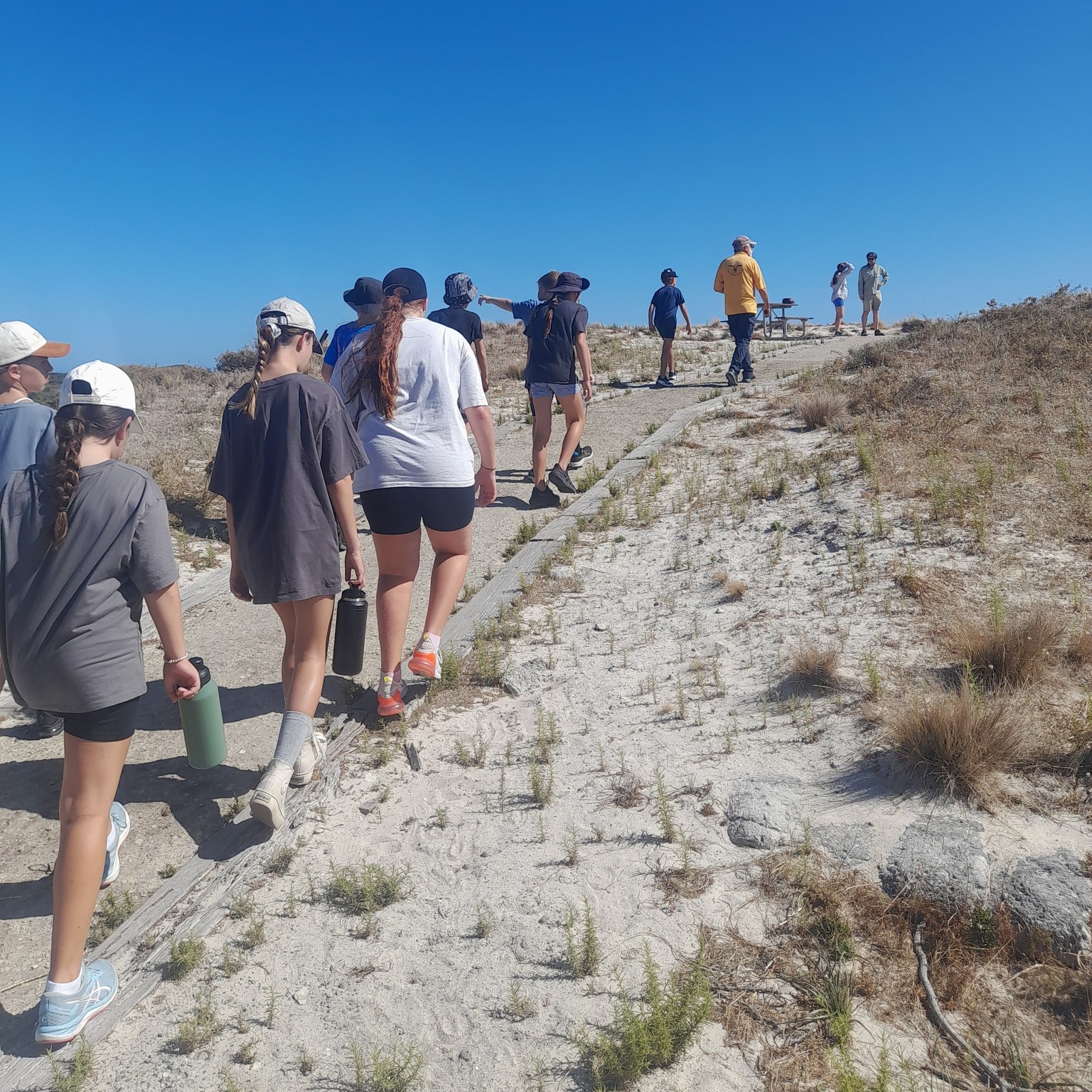 502570421_1291621132971994_4056542898733117000_n