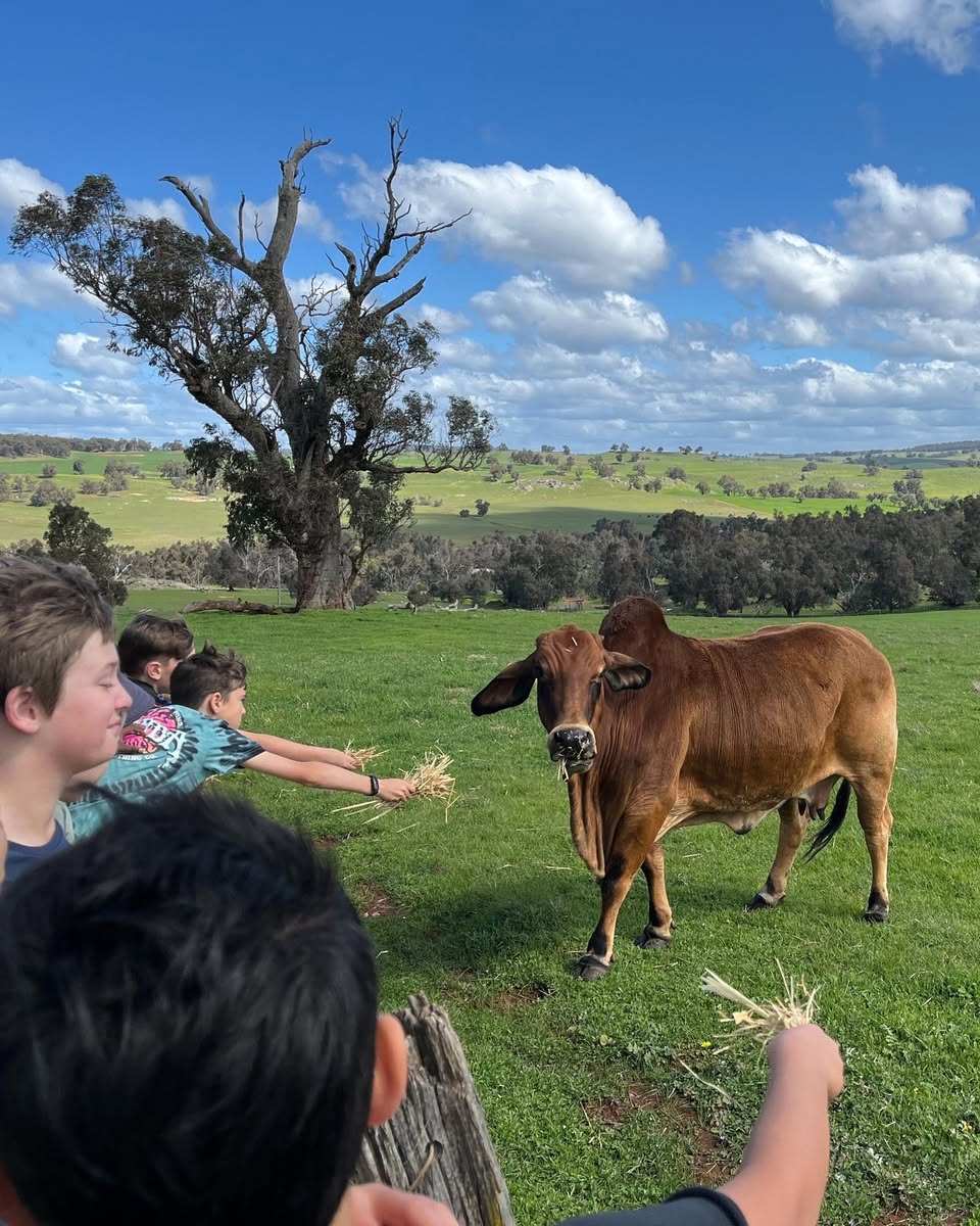 552100147_1397335082400598_4675958718782729167_n