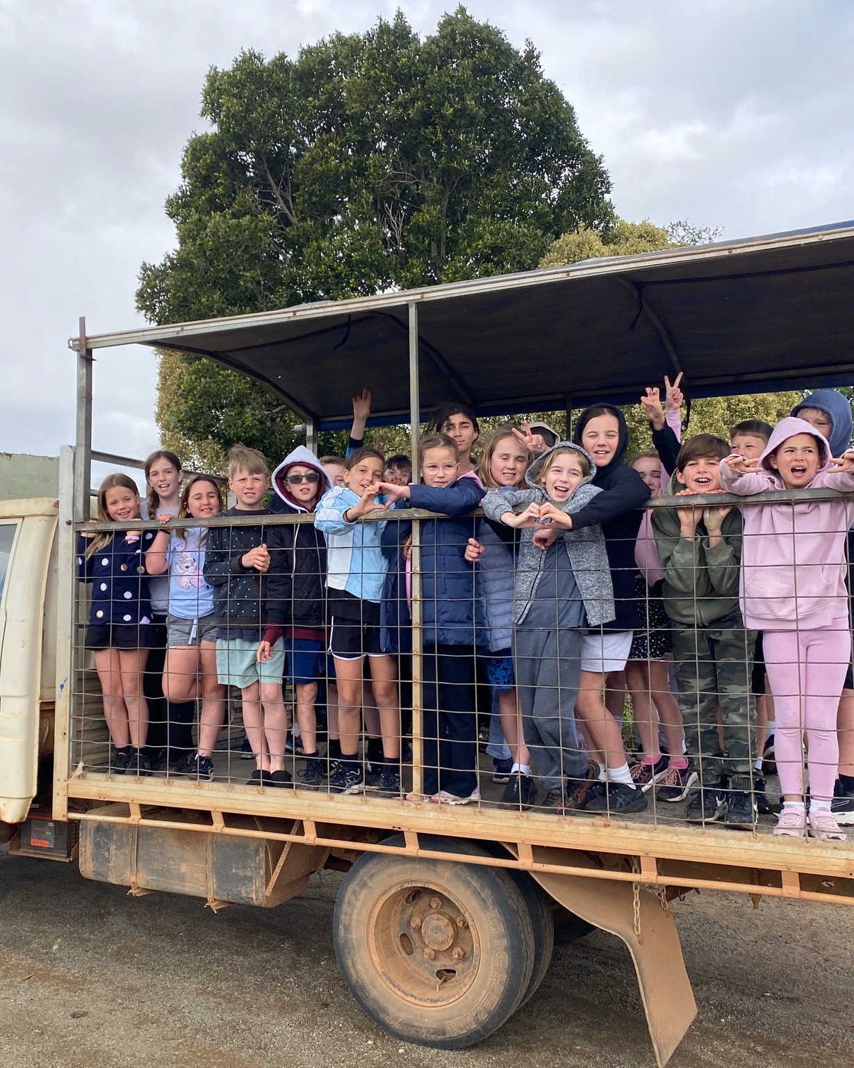 552890050_1397334935733946_8510206139546488691_n